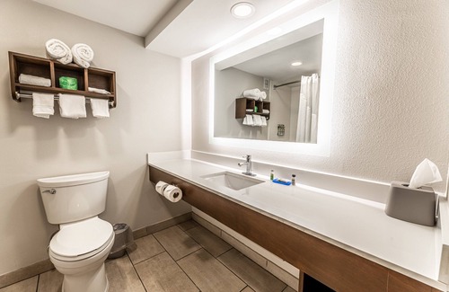 Indianapolis Hotel | Holiday Inn Express Indianapolis South by IHG