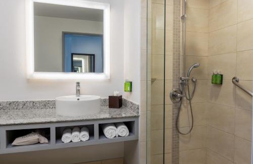 Santa Ana Hotel | Holiday Inn Express San Jose Forum by IHG