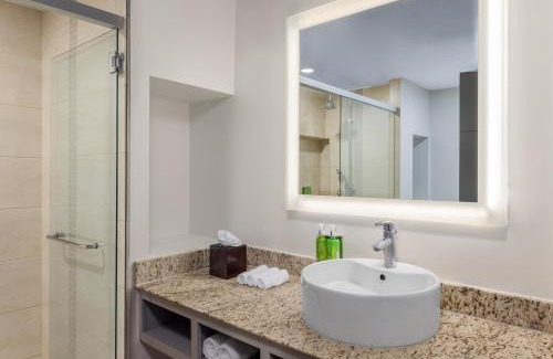 Santa Ana Hotel | Holiday Inn Express San Jose Forum by IHG