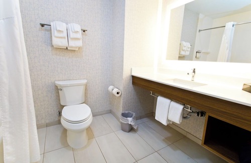 Arden-Arcade Hotel | Holiday Inn Express & Suites Sacramento NE Cal Expo by IHG