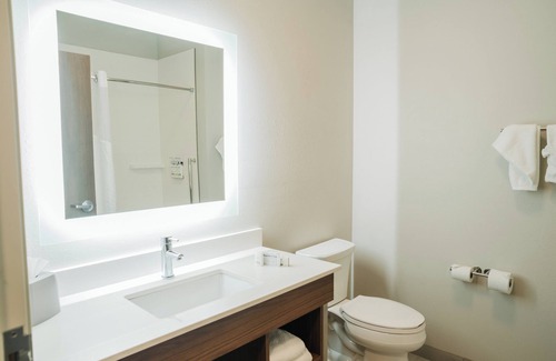 Shannon Hotel | Holiday Inn Express & Suites McCalla - Birmingham West by IHG