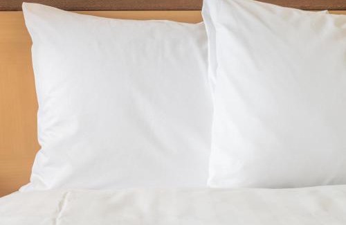 Oak Park Hotel | Holiday Inn Express & Suites Chicago West - Oak Park by IHG