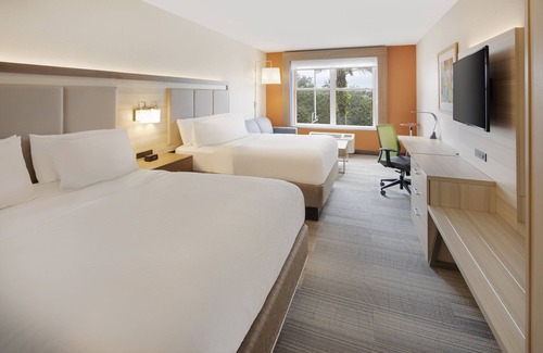 Kissimmee Hotel | Holiday Inn Express & Suites S Lake Buena Vista by IHG