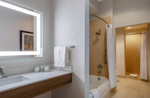 White Rock Hills Hotel | Holiday Inn Express & Suites Dallas East - Fair Park by IHG