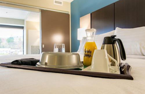 Downtown Chattanooga Hotel | Holiday Inn Hotel & Suites Chattanooga by IHG