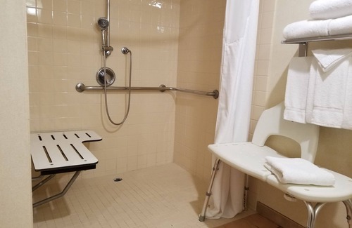 Anaheim Resort Hotel | Holiday Inn Hotel & Suites Anaheim by IHG