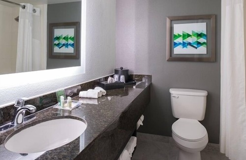 Beaumont Hotel | Holiday Inn Hotel & Suites Beaumont Plaza (I-10 & Walden) by IHG