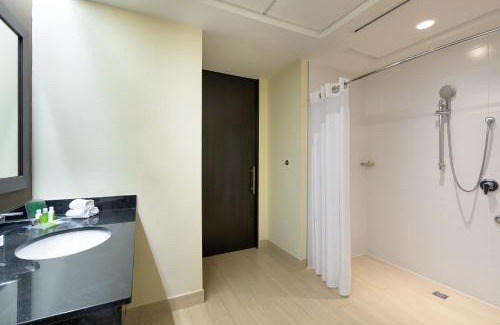 Campo Alegre Hotel | Holiday Inn Panama Distrito Financiero by IHG