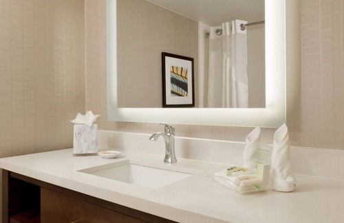 Downtown San Antonio Hotel | Holiday Inn San Antonio - Riverwalk by IHG
