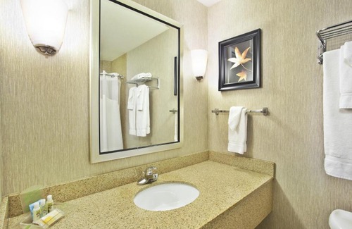 Ashwaubenon Hotel | Holiday Inn & Suites Green Bay Stadium by IHG
