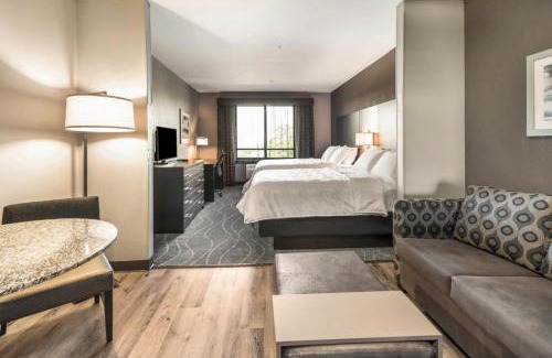 Milpitas Hotel | Holiday Inn & Suites Silicon Valley - Milpitas by IHG