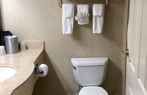 Vicksburg Hotel | Holiday Inn Vicksburg by IHG