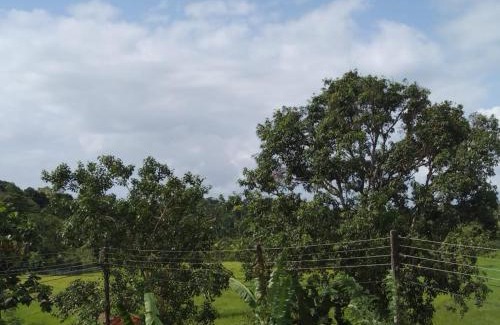 Hikkaduwa Villa | Holiday Villa
