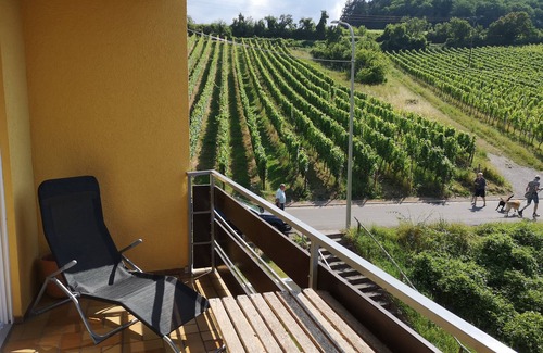 Leinsweiler Apartment | Holidays in the winegrower village