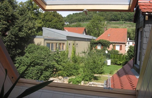 Pillnitz Apartment | Holidays with the winegrower - bright 65m² apartment below the Pillnitz vineyards