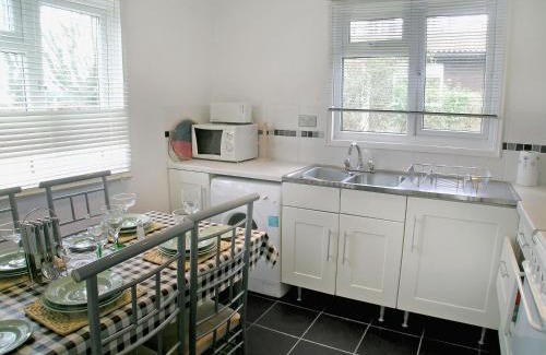 Holsworthy House | Hollies - W43107