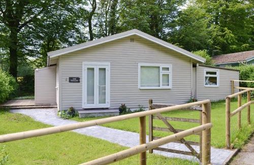 Holsworthy House | Hollies - W43107