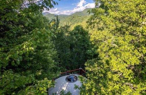 Cullowhee RV Rental | Holly Hideaway, Cozy Yurt, Pet Friendly, and Trails!