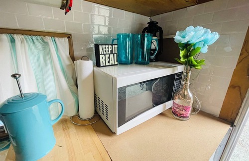Camano Island House | Holly the Tuna Can! camper