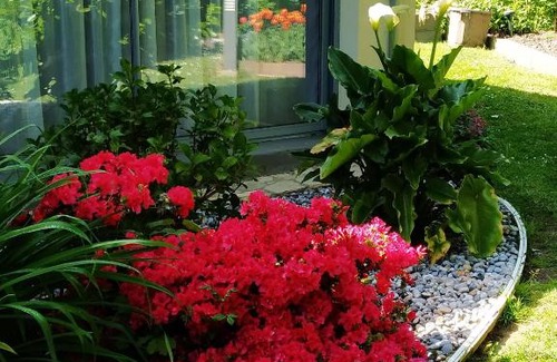 Ault House | HOLLY WOOD
