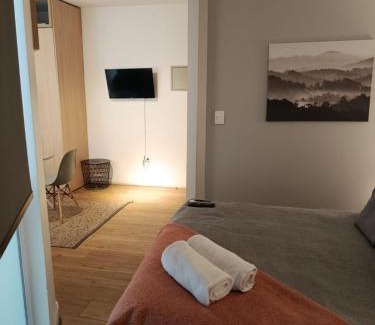 Lastarria Apartment | HOM I Departamento Studio AlA Lastarria 2PAX