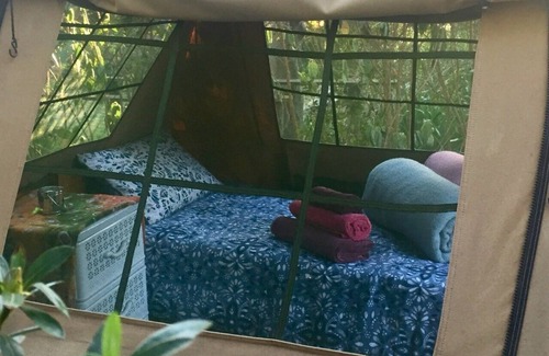 Storms River Cabin | Home Away from Home! The authentic SA accommodation experience