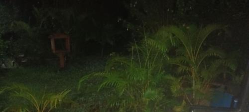 Hashmatabad House | Home stay