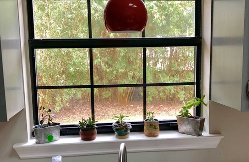 Savannah House | Home Sweet Home- Wilmington Island