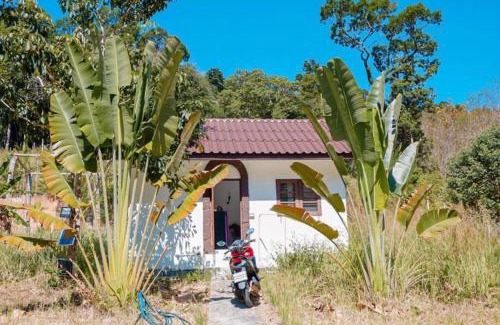 Ko Chang House | Homebar