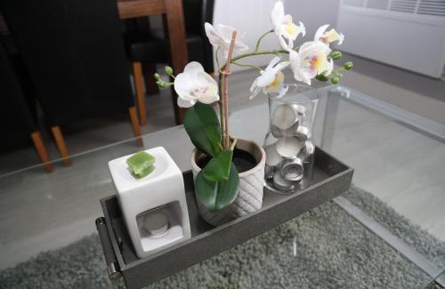 Acocks Green Apartment | Homely 1-Bed Apartment in Birmingham