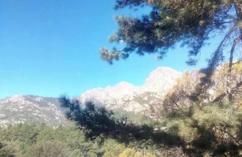 Bocognano Apartment | Homerez - Apartment in Bocognano