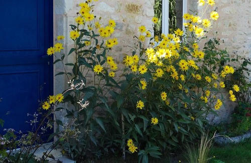 La Mothe-Saint-Heray House | Homerez - Property for 3 ppl. with garden and terrace at La Mothe-Saint-Héray