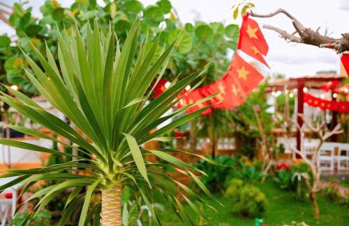 Dong Hoa Apartment | Homestay CỔ MỘC GADEN SEA