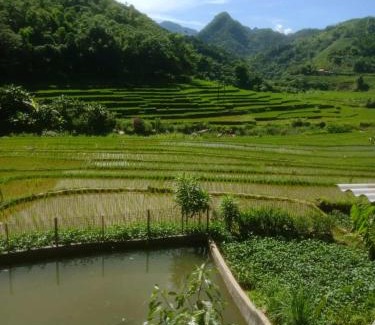 Pu Long Nature Reserve Apartment | Homestay Khánh Pù luông