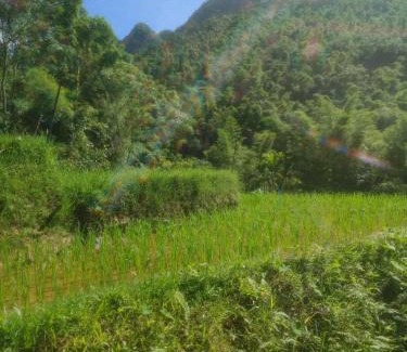 Pu Long Nature Reserve Apartment | Homestay Khánh Pù luông
