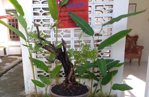 Bima House | Homestay larangga