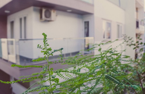 Tan Phu District House | Homestay Sunny's House