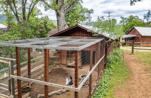 Midpines House | Homestead Ranch near Yosemite with Horses and Chickens