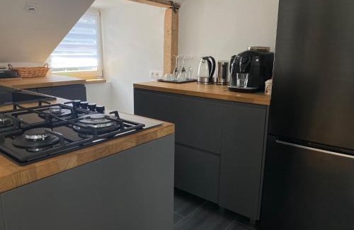 Mainz-Bingen Apartment | HomeSweetHome#Bingen