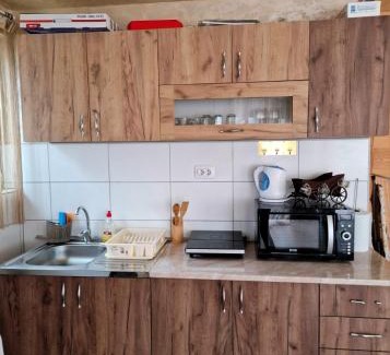 Zdrelo Villa | Homoljski pogled Banja Zdrelo