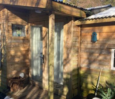 Llandysul Cabin | Honey Bee Cabin