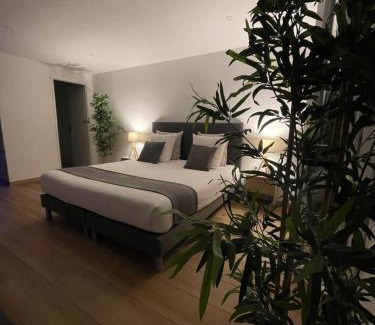 Vitrolles Bed & Breakfast | Honey Spa