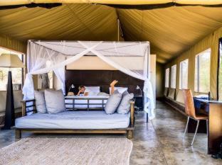 Thorny Bush Game Reserve Other | Honeyguide Tented Safari Camp - Khoka Moya