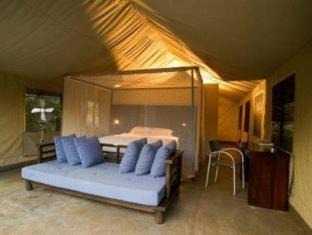 Thorny Bush Game Reserve Other | Honeyguide Tented Safari Camp - Khoka Moya