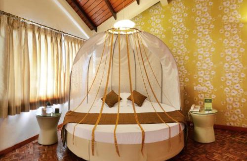 Shimla Hotel | Honeymoon Inn Shimla