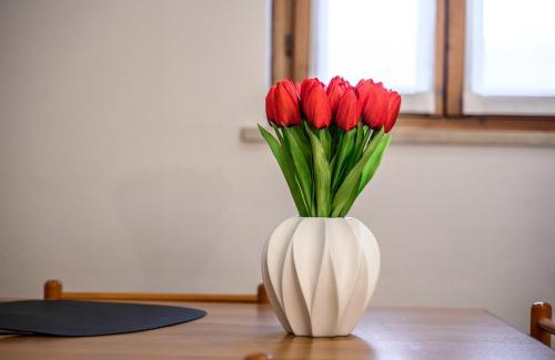 San Zeno Apartment | Hoomee San Zeno