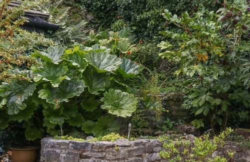Castleton House | Hope Cottage