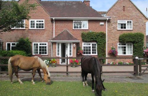 New Forest District House | Hops Main House, Brockenhurst, New Forest
