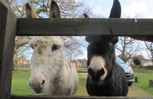 New Forest District House | Hops Main House, Brockenhurst, New Forest