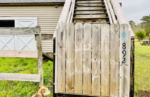 Craven County House | Horse Farm & Animal Rescue +Trails +Wi-Fi +Creek